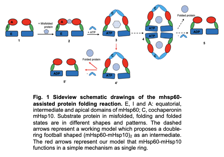 Figure 1 Schematic